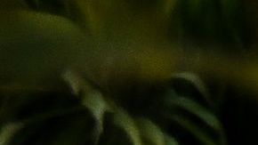 Protesta manejo cuerpos de fallecidos por COVID