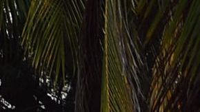 HONDURAS-INDIGENOUS-GARIFUNA-THREATENED-DEVELOPMENT