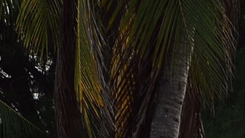 HONDURAS-INDIGENOUS-GARIFUNA-THREATENED-DEVELOPMENT