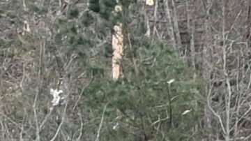 Multiple Tornadoes Cause Damage Across Alabama