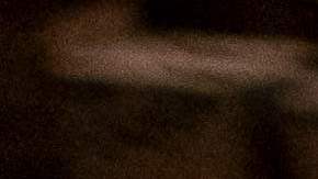 Finca de plátanos Guánica Puerto Rico