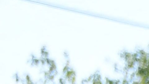 CANADA-US-WEATHER-CLIMATE-DEATH