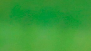 Club León es el actual campeón de la competición