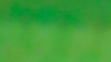 Club León es el actual campeón de la competición