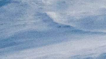 El estudio sobre el derretimiento de los glaciares se produce en medio de crecientes esfuerzos para mitigar las preocupaciones climáticas.