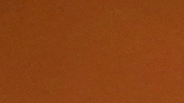 US-POLITICS-CONGRESS-GUN