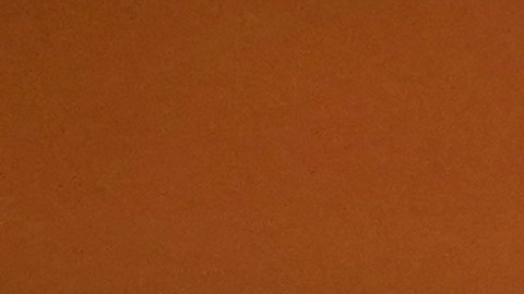 US-POLITICS-CONGRESS-GUN