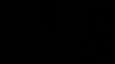 La cantante española acusó al tenor Plácido Domingo de acosarla.