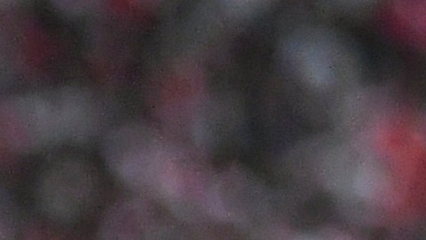 Quintero jugó por cuatro temporadas en River Plate
