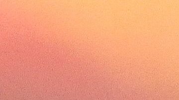 Dani Alves pedirá libertad provisional.