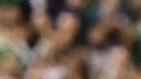 FBL-FRIENDLY-MEX-COL