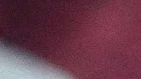 Flamengo celebrando la Copa de Brasil