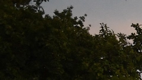 Las sentencias se producen en medio de la represión de las autoridades por las protestas generalizadas en todo Irán.