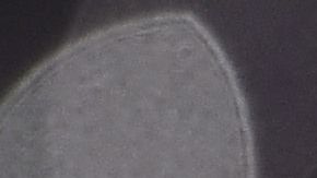 Gerard Piqué luego disputar su último partido en el Camp Nou.