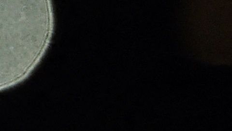 Gerard Piqué durante el partido de despedida del FC Barcelona.