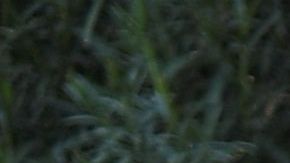 SPAIN-UKRAINE-EXPLOSION