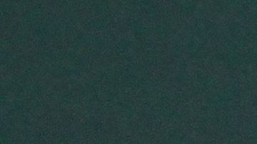 Yon de Luisa durante una rueda de prensa.