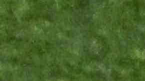 Gregg Berhalter luego que Estados Unidos quedó fuera del Mundial Qatar 2022.