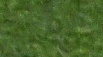 Gregg Berhalter luego que Estados Unidos quedó fuera del Mundial Qatar 2022.