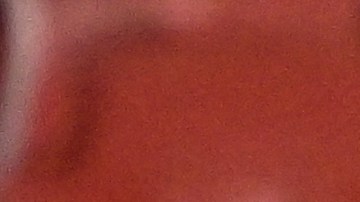 Tite ya había manifestado su derecho de dejar la selección.