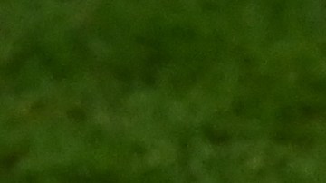 El capitán argentino realizó un gesto a Van Gaal en honor a Riquelme