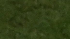 Wout Weghorst llegó a Manchester United tras su gran Mundial.