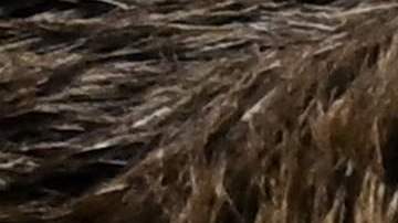 Momento en que Ángel di María indica a Messi que la Copa del Mundo que tiene en sus manos es falso.