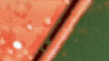 Clubes de Conmebol se enfrentarán a clubes de Concacaf