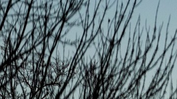 La Corte Suprema escuchó los argumentos del caso de una transgénero guatemalteca.