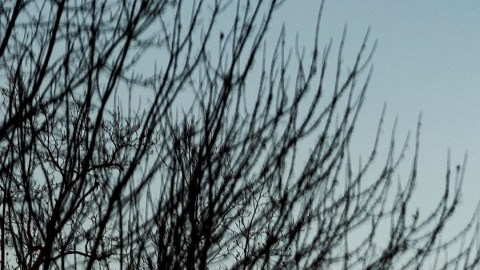 La Corte Suprema escuchó los argumentos del caso de una transgénero guatemalteca.