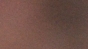 El argentino viene de ganar la Copa del Mundo en Qatar