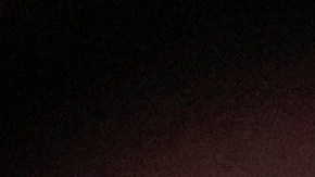 Joe Biden Kevin McCarthy Cámara de Representantes