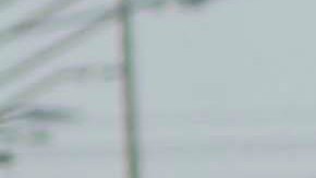 Arresto Ovidio Guzmán