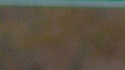 MEXICO-DRUGS-VIOLENCE-GUZMAN-ARREST