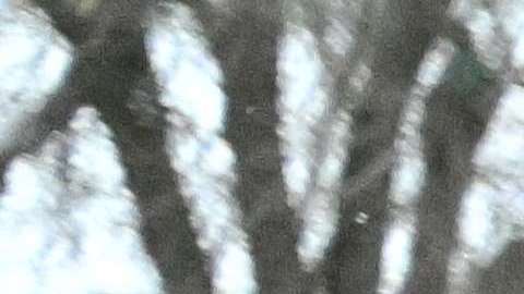 Soldados rusos y ucranianos regresarán a sus casas.