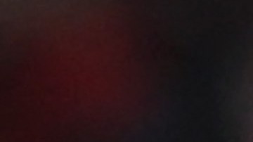 Ferrran y Savic fueron expulsados.