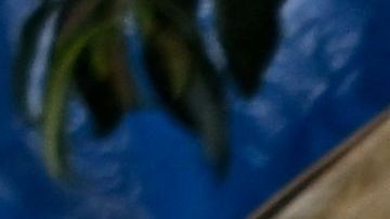 BRAZIL-POLITICS-BOLSONARO-SUPPORTERS-DEMONSTRATION