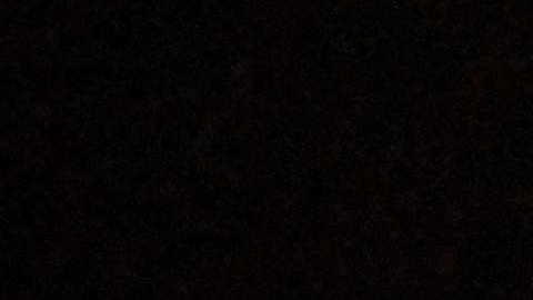 Migrantes refugiados Estados Unidos México Canadá