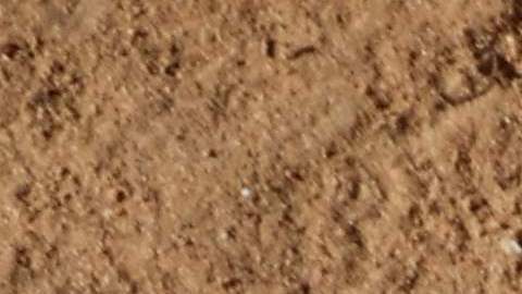 Esta imagen tomada el 12 de enero de 2023 muestra una vista de uno de los huevos de avestruz descubiertos.