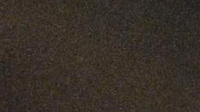 Joe Biden Martin Luther King Georgia