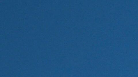 Hallaron más documentos clasificados en la casa de Biden.