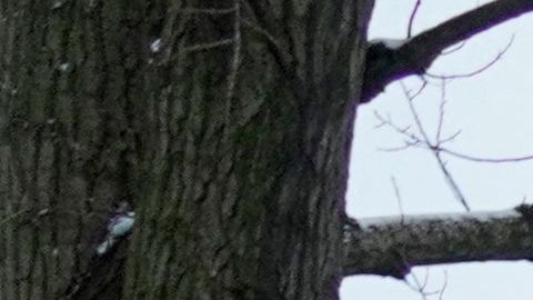 Ataque con misiles contra las fuerzas rusas en Makiivka.
