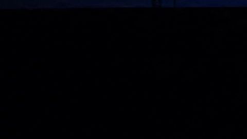 Zelensky "no está seguro" si Putin sigue con vida.