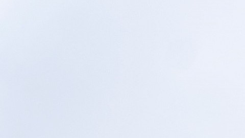 La Corte Suprema decidirá en junio sobre una ley que permitiría perseguir penalmente a quienes promuevan la inmigración de indocumentados.