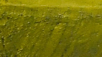 El aficionado fue atendido por el personal de seguridad de la Bombonera.