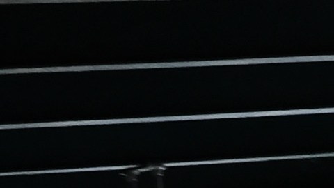 Tres de los jóvenes arrestados fueron liberados y no enfrentaron cargos debido a sus edades.