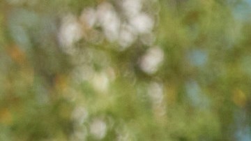 Viola Davis y Julius Tennon están juntos desde el 2003.