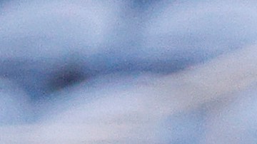 El delantero venezolano lleva 6 temporadas en el Atlanta United