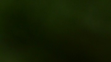 Los detectives aún están investigando lo que condujo al aparatoso accidente.