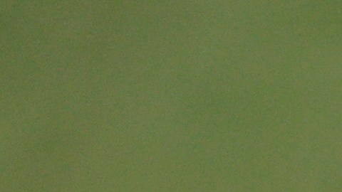 Un nuevo colombiano llega a la MLS.